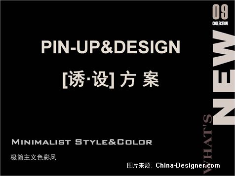 pin-up&designװι˾Ʒ-Ԭʦ԰-pin-up&design衿,2010china-designerȫУƴ
