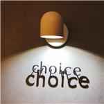 ʦ԰-choice