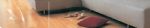 طľҵ޹˾-
