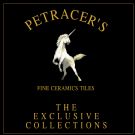 ּ֪ҹó޹˾-PETRACER