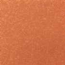 ڲ