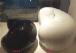 η