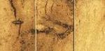 طľҵ޹˾-A1212 