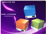 绰Զ̿ ħ BC2-ETO3 BC2-ETO2