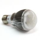 ɴ޹˾-LEDݵ 