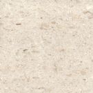 ˳()ʯ޹˾- 