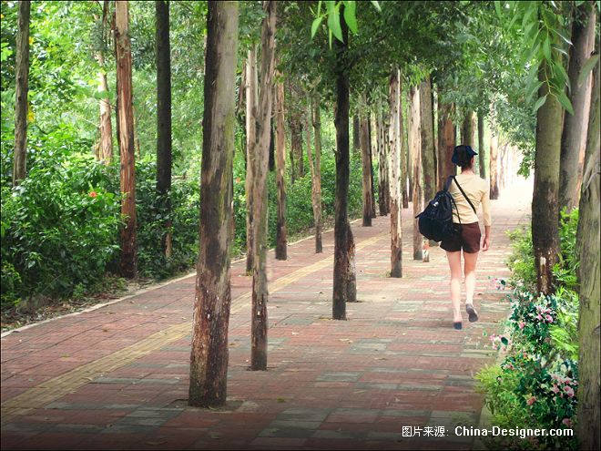 g08人行道处理方式-上海典尚设计效果图公司的设计师家园-道路景观